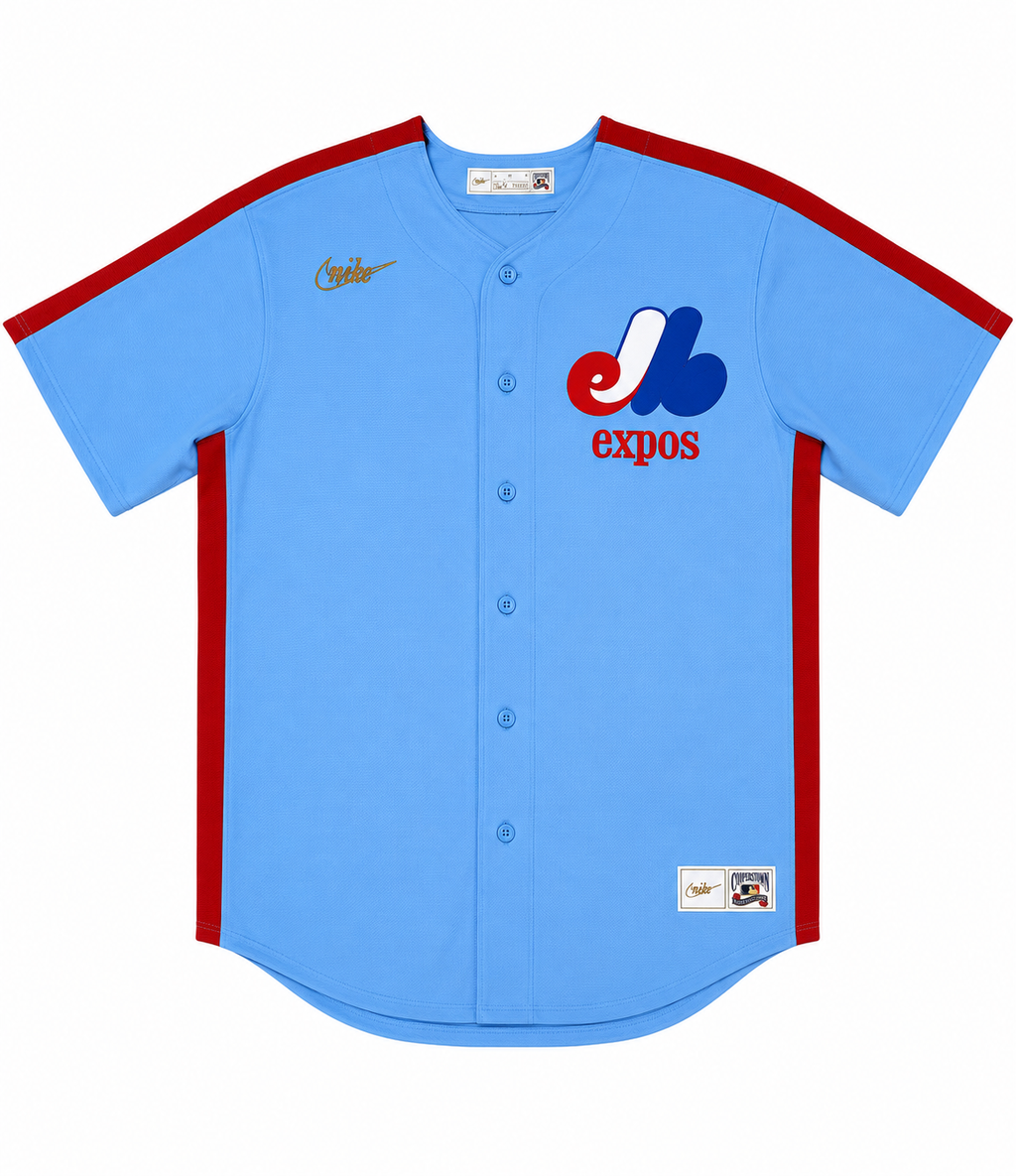Men's Montreal Expos Andre Dawson Nike Light Blue Road Cooperstown Collection Premium Team Jersey