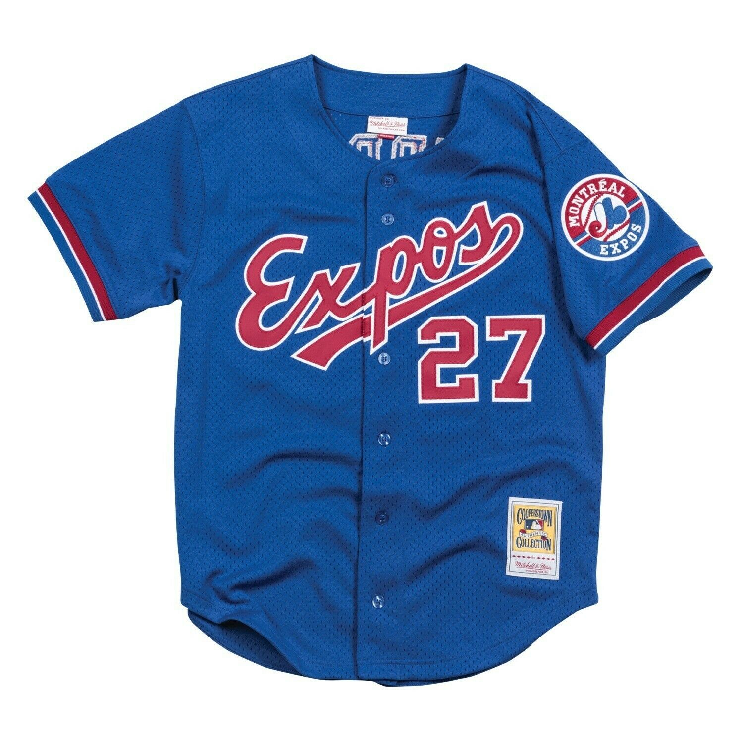 Men's Montreal Expos Vladimir Guerrero Mitchell & Ness Royal 2002 Authentic Cooperstown Collection Mesh Batting Practice Jersey